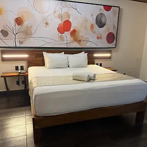 レイナ ローハ ホテル【大人専用】 4* プレヤデルカーメン